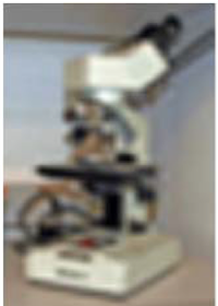 Microscopio educativo