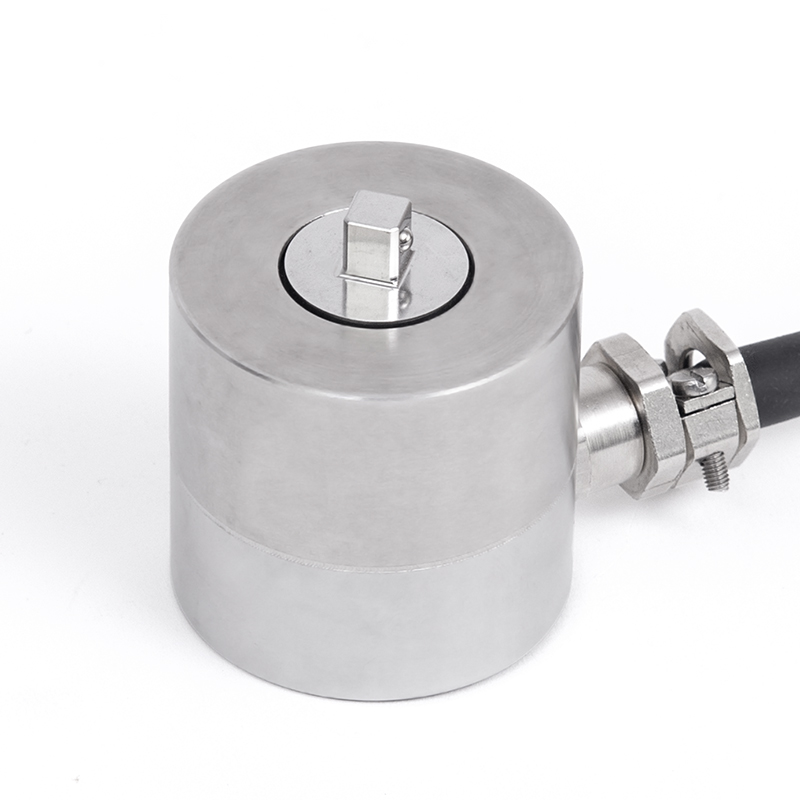 Sensores de Torque de Accionamiento cuadrado Serie R55